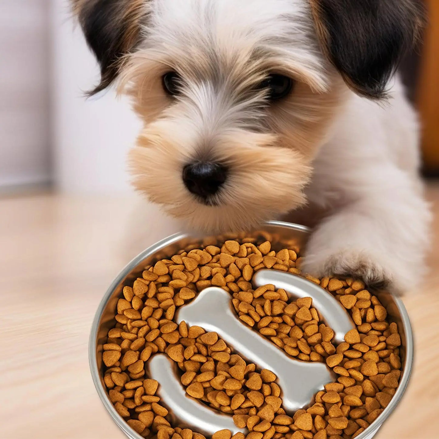 Gamelle anti-glouton